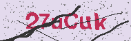 Codice captcha