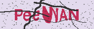 Codice captcha