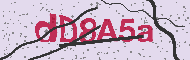 Codice captcha