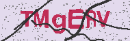 Codice captcha
