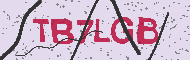 Codice captcha