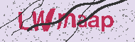 Codice captcha